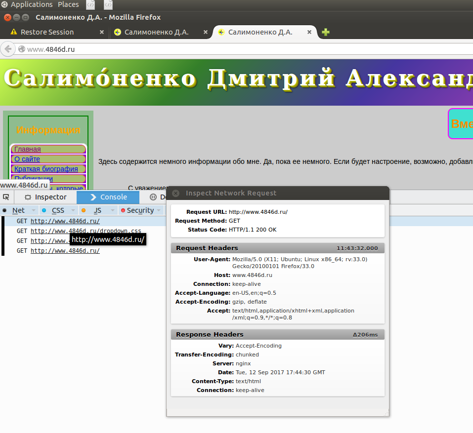 Главная страница сайта 4846d.ru с GET-запросами и заголовками одного из запросов